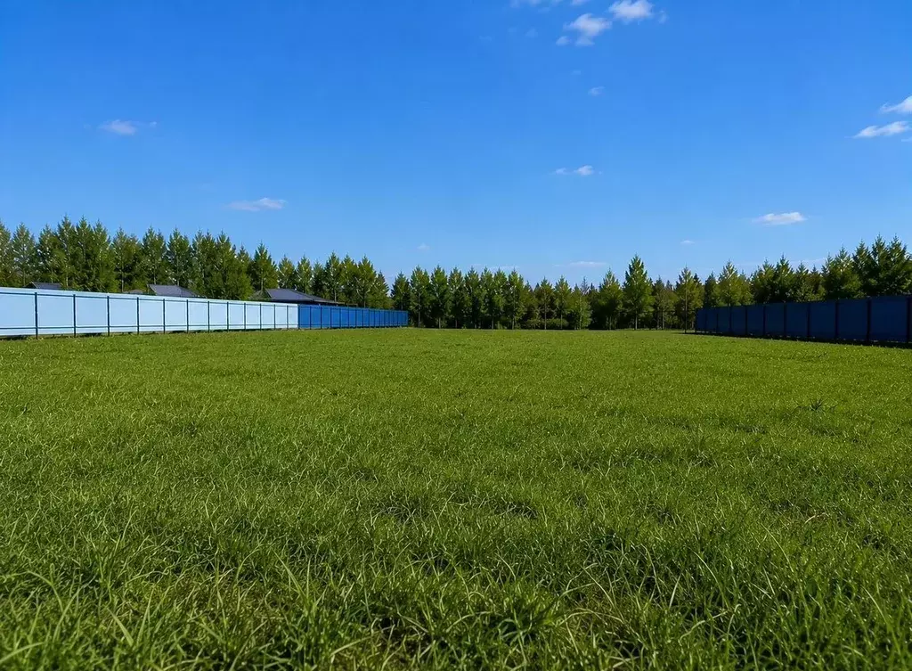 Участок в Московская область, Орехово-Зуевский городской округ, Дачная ... - Фото 2