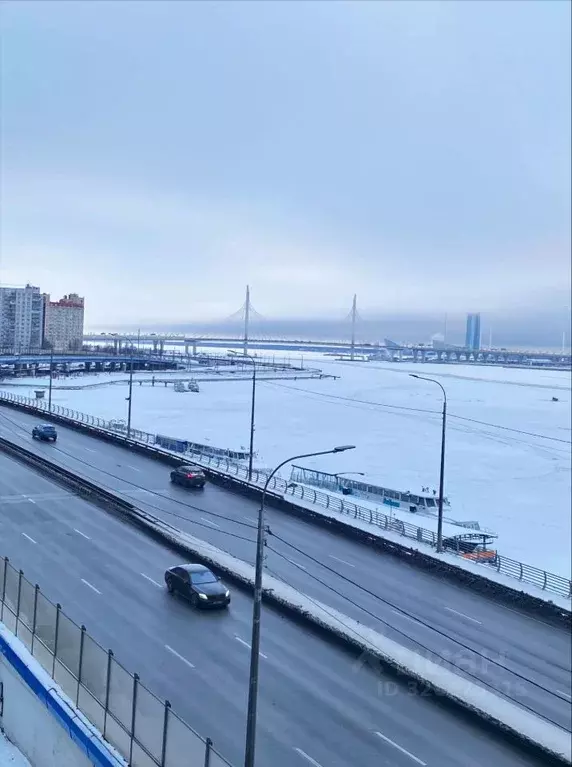 2-к кв. Санкт-Петербург наб. Макарова, 58с2 (66.2 м) - Фото 2