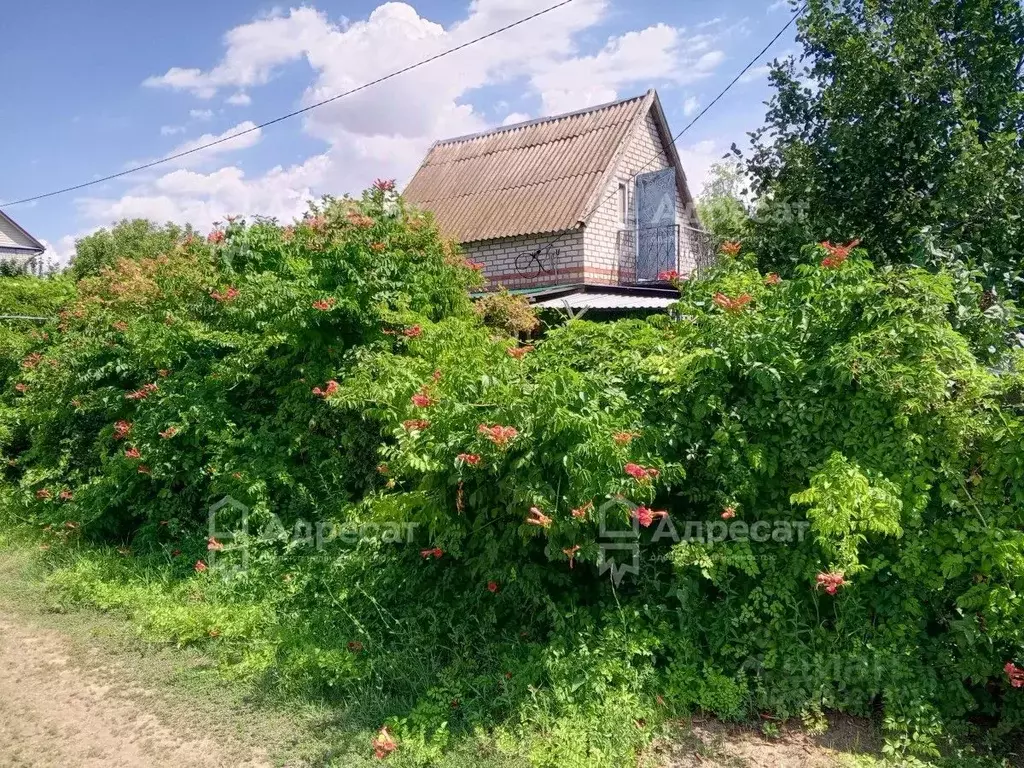 Дом в Волгоградская область, Волгоград Шельф СНТ,  (27 м) - Фото 1