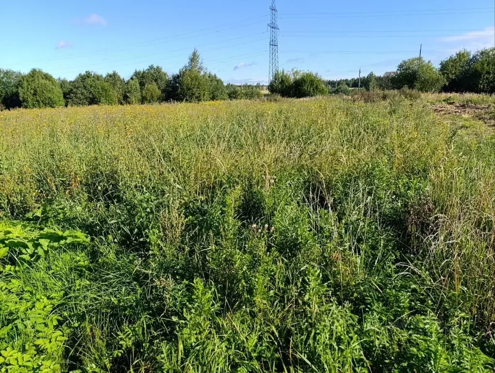 Участок в Московская область, Сергиево-Посадский городской округ, с. ... - Фото 1