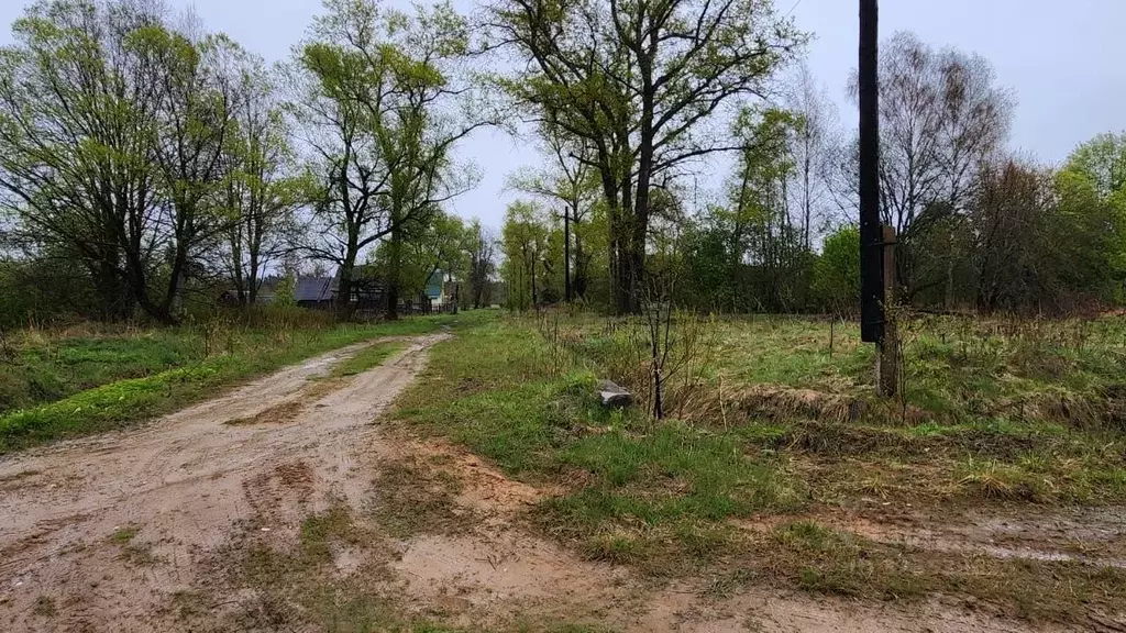 Участок в Тверская область, Рамешковский муниципальный округ, д. ... - Фото 2