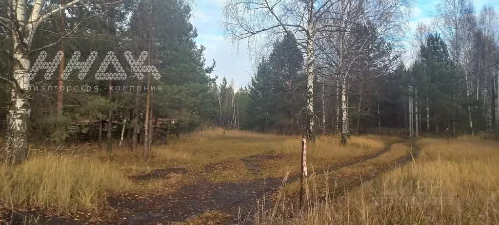 Участок в Нижегородская область, Нижний Новгород пос. Березовая Пойма, ... - Фото 0