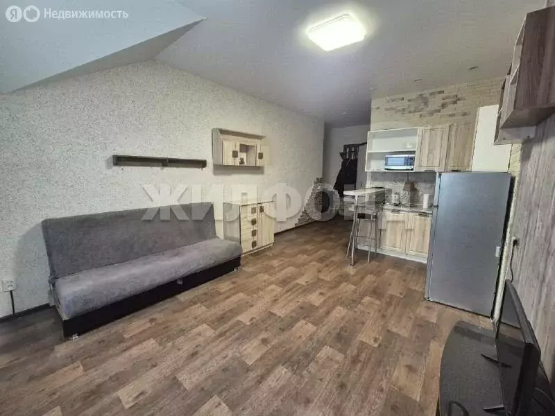 Квартира-студия: Бердск, территория Бердский санаторий, 41 (26.7 м) - Фото 1