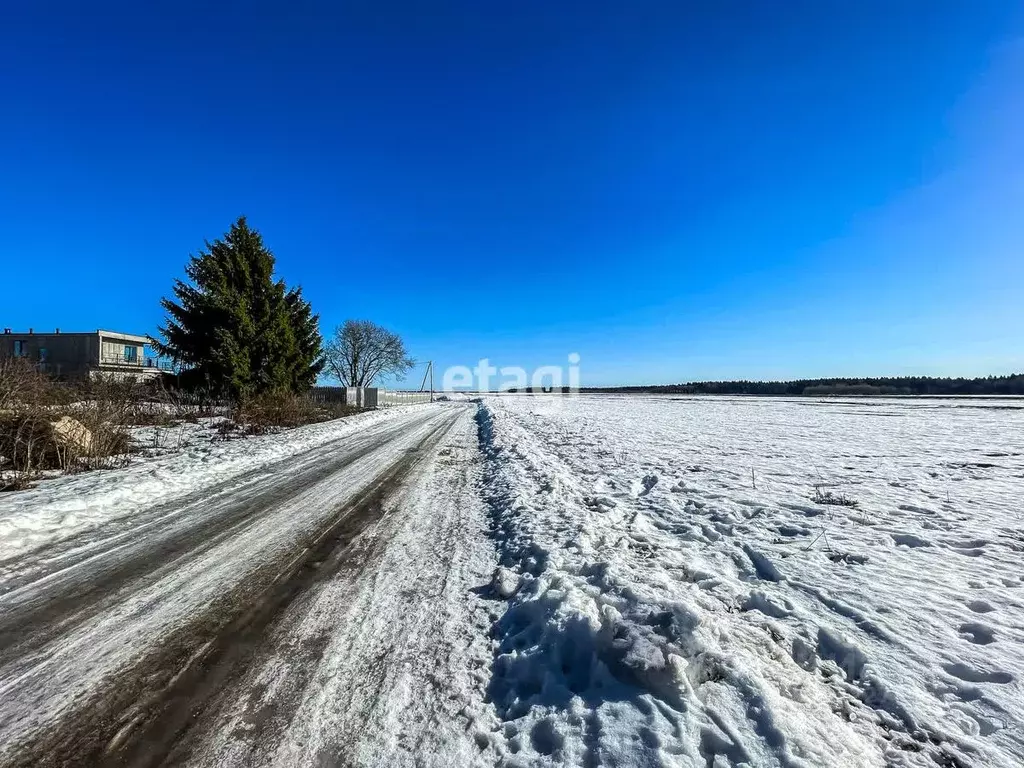 Участок в Ленинградская область, Гатчинский район, д. Лайдузи 10А ... - Фото 0