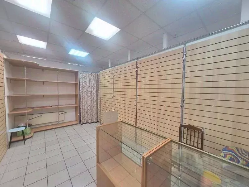 Торговая площадь в Самарская область, Тольятти Ленинский просп., 14А ... - Фото 2