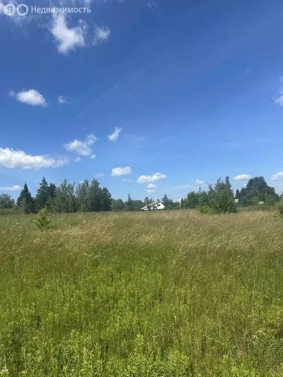 Участок в Московская область, городской округ Серпухов, деревня ... - Фото 1