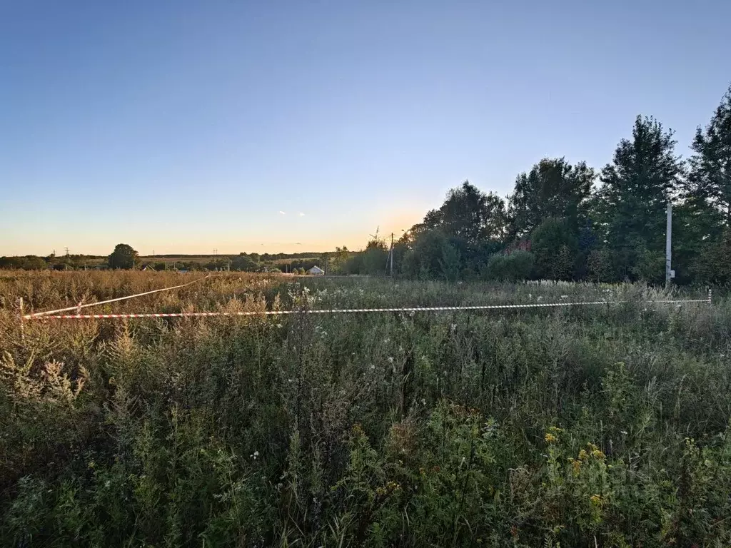 Участок в Москва пос. Рогово, ул. Заречная, 49Б (8.17 сот.) - Фото 1