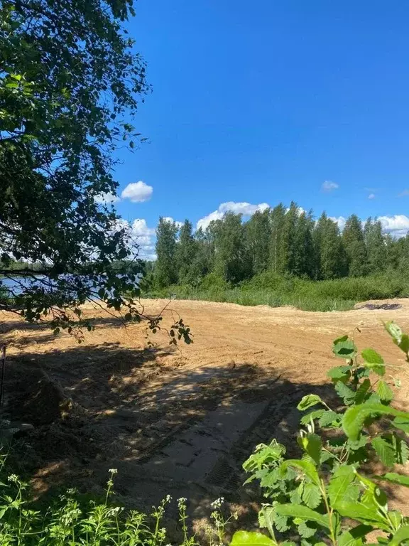 Участок в Ленинградская область, Всеволожский район, Лесколовское ... - Фото 1