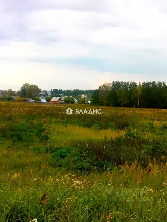 Участок в Владимирская область, Судогодский район, с. Ликино Дачная ... - Фото 2