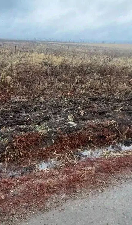 Участок в Иркутская область, Иркутский муниципальный округ, с. Урик  ... - Фото 2