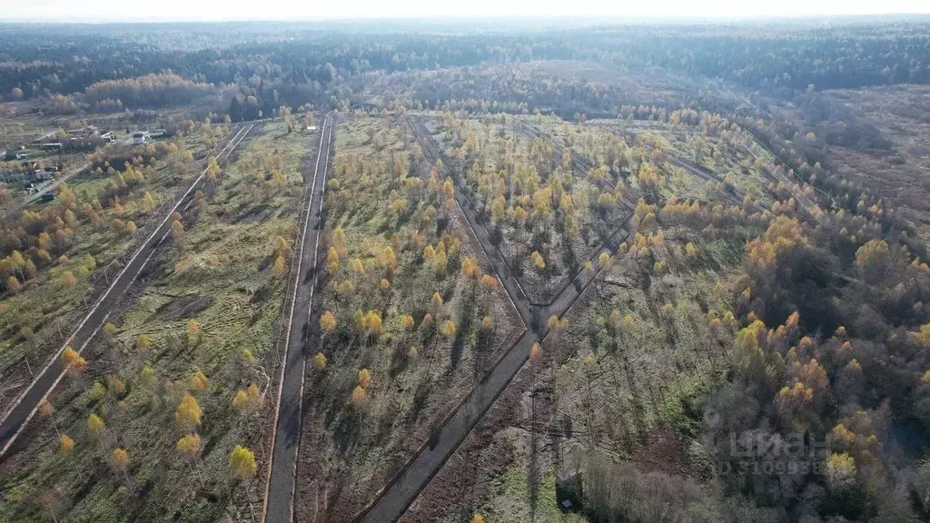 Участок в Московская область, Клин городской округ, Клубный кп  (6.03 ... - Фото 1