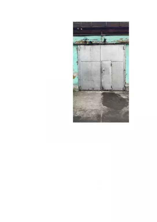 Помещение свободного назначения в Новосибирская область, Новосибирский ... - Фото 1