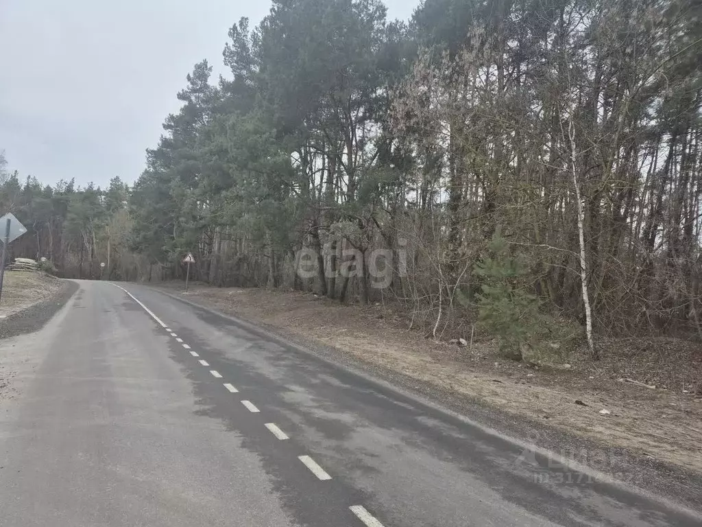 Участок в Белгородская область, Белгород Дальняя Тихая ул. (13.0 сот.) - Фото 0