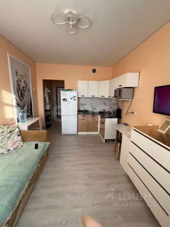 Студия Ростовская область, Ростов-на-Дону ул. Нансена, 83с1 (19.3 м) - Фото 1