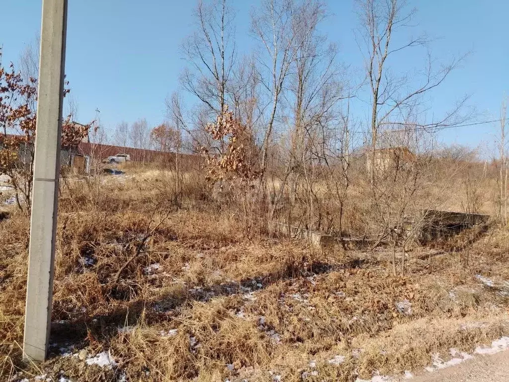 Участок в Приморский край, Надеждинский район, Волна СНТ  (12.0 сот.) - Фото 1