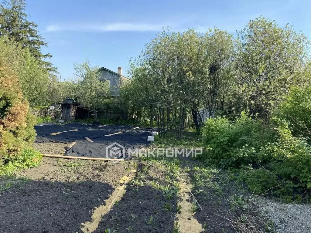 Участок в Челябинская область, Челябинск Любитель-3 садовое ... - Фото 2