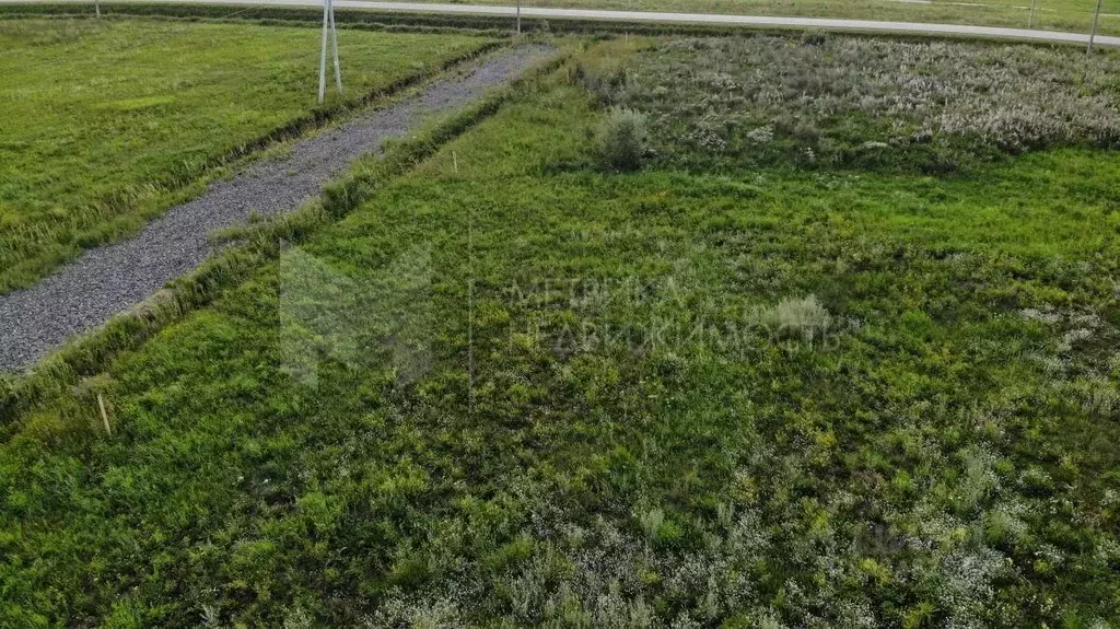 Участок в Тюменская область, Тюменский муниципальный округ, с. Чикча, ... - Фото 1