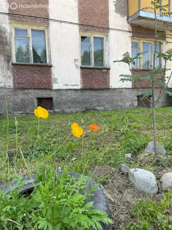 3-комнатная квартира: Сосновка, Центральная улица, 14 (56.2 м) - Фото 1
