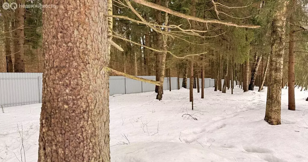 Участок в деревня Фуньково, КП Астра (6 м) - Фото 2