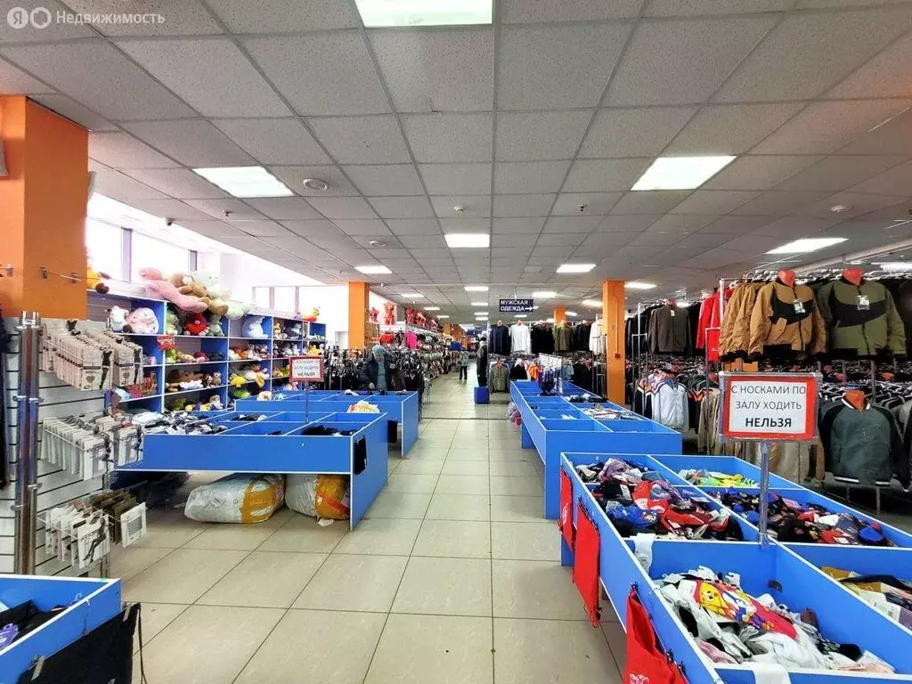Помещение свободного назначения (225 м) - Фото 0