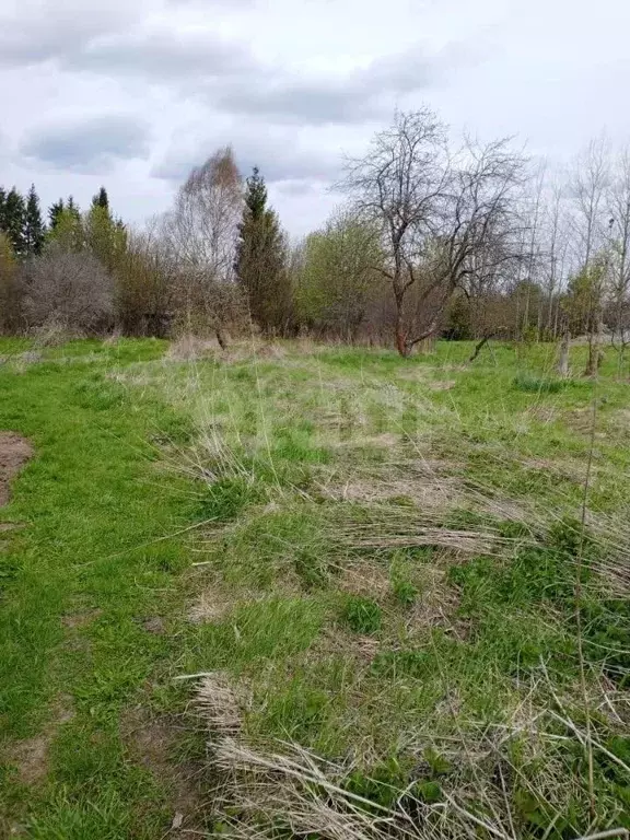 Участок в Вологодская область, д. Катунино  (15.96 сот.) - Фото 1