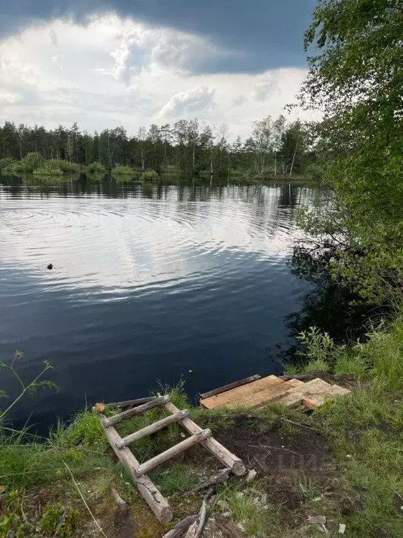 Дом в Ленинградская область, Всеволожский район, Рахьинское городское ... - Фото 1