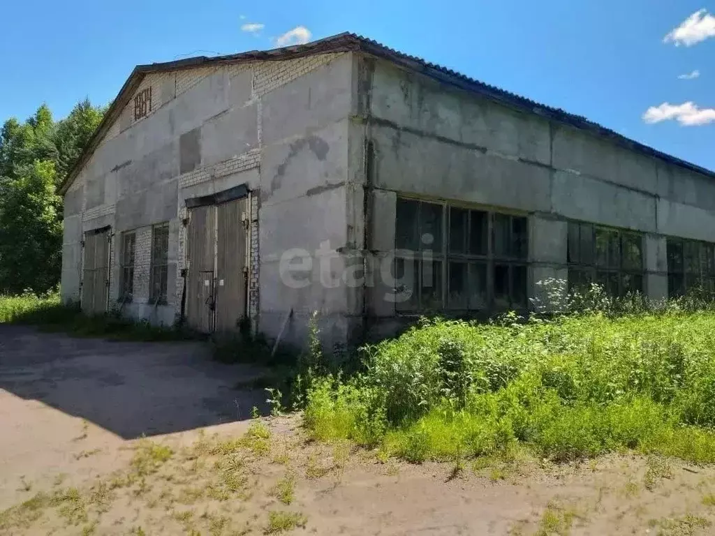 Склад в Костромская область, Кадый пгт ул. Гагарина, 49 (2182 м) - Фото 1
