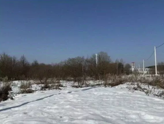 Участок в Московская область, Серпухов городской округ, д. Ивановское  ... - Фото 1