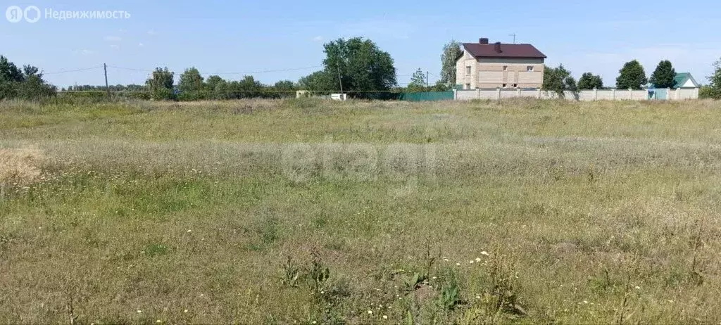 Участок в Энгельсский район, Красноярское муниципальное образование, ... - Фото 1