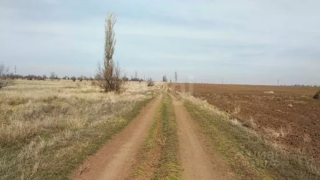 Участок в Крым, Сакский район, с. Орехово  (10.0 сот.) - Фото 2