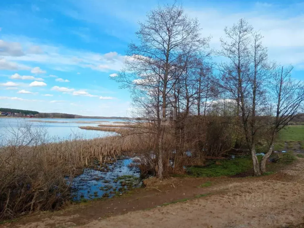 участок в нижегородская область, богородский муниципальный округ, д. . - Фото 1