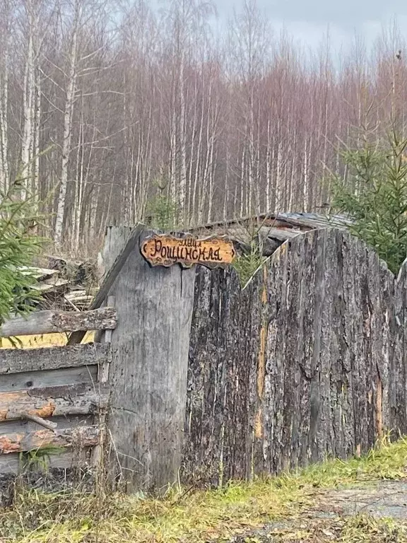 Участок в Московская область, Раменский муниципальный округ, КП ... - Фото 2