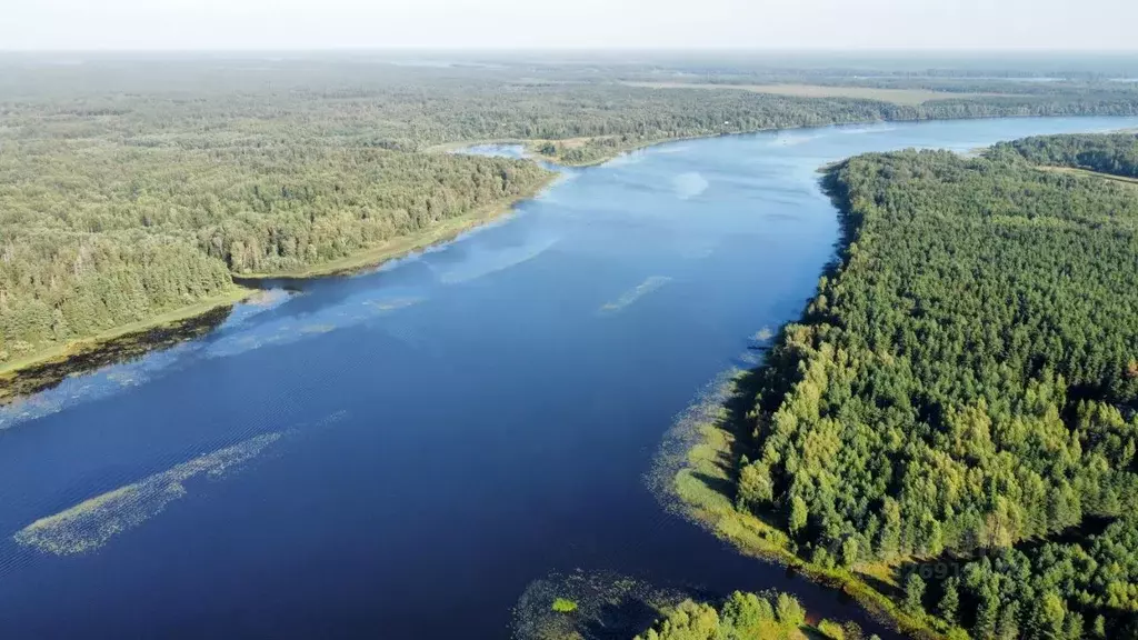 Участок в Тверская область, Кимрский муниципальный округ, д. Чупеево  ... - Фото 1