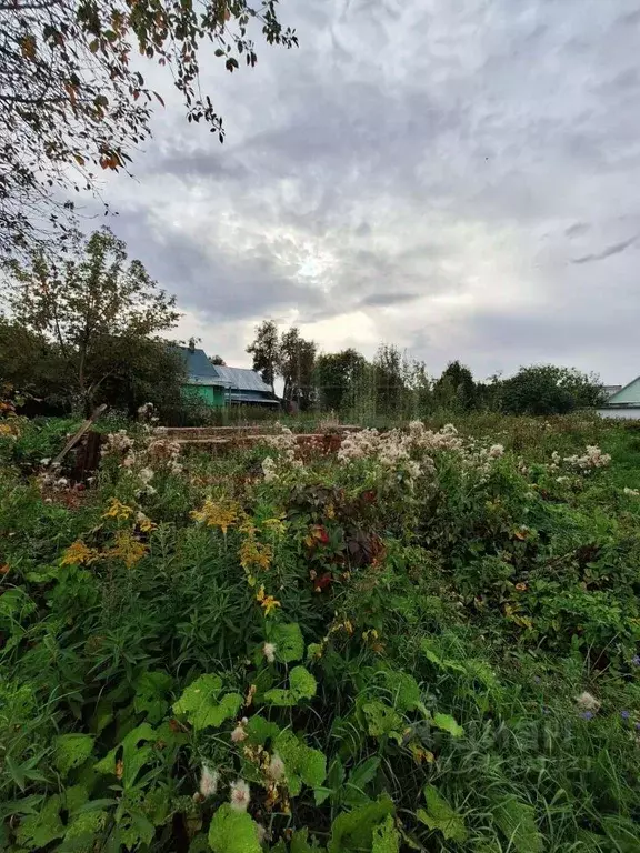 Участок в Московская область, Сергиево-Посадский городской округ, с. ... - Фото 1