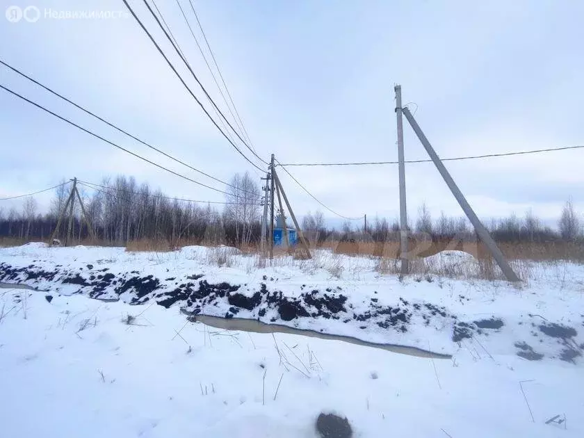 Участок в Тюмень, товарищество собственников недвижимости Большое ... - Фото 1