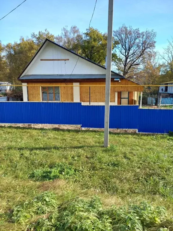 Коттедж в Башкортостан, Альшеевский район, Аксеновский сельсовет, с. ... - Фото 1