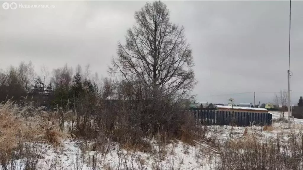 Участок в деревня Орлово, Сказочная улица (13.6 м) - Фото 2