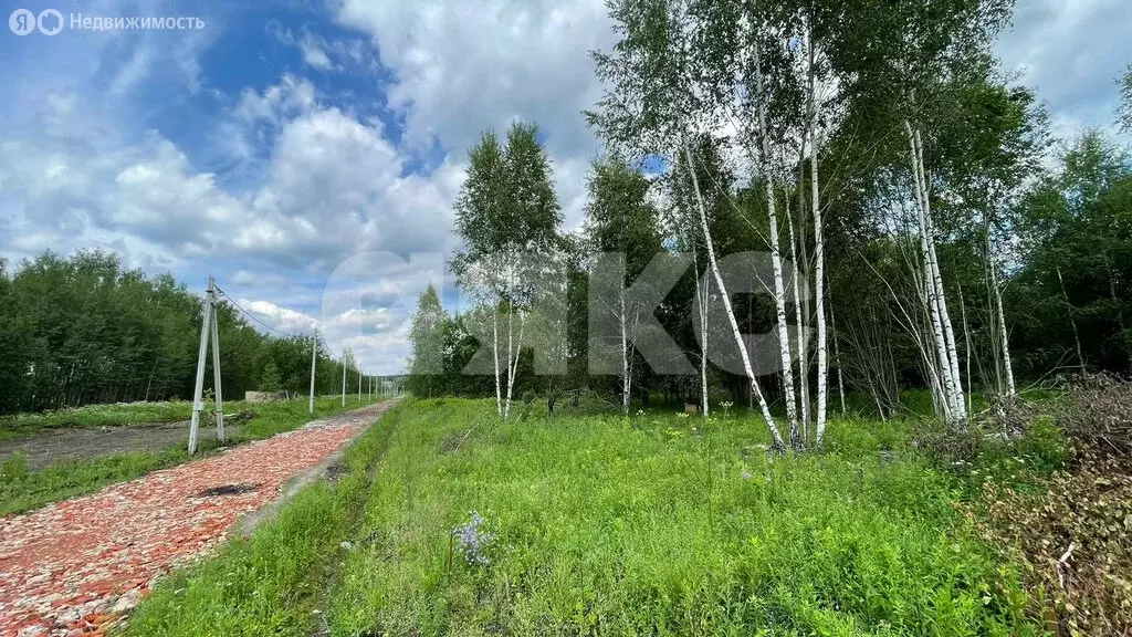 Участок в Московская область, Раменский муниципальный округ, село ... - Фото 0