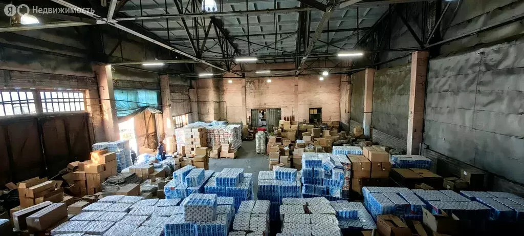 Помещение свободного назначения (1000 м) - Фото 1