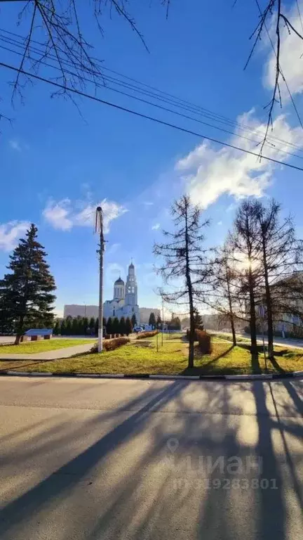 4-к кв. Московская область, Апрелевка Наро-Фоминский городской округ, ... - Фото 1
