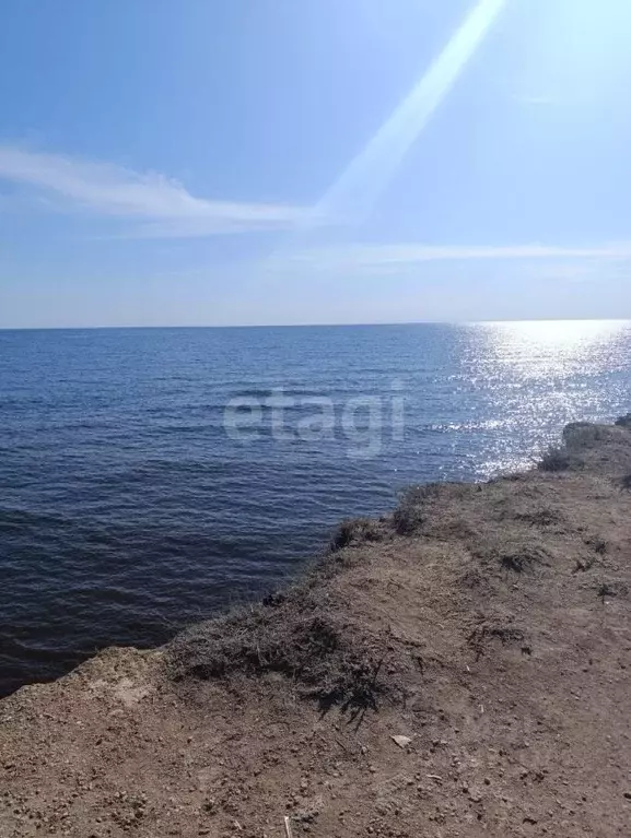 Участок в Крым, Черноморский район, Оленевское с/пос, с. Оленевка ул. ... - Фото 1