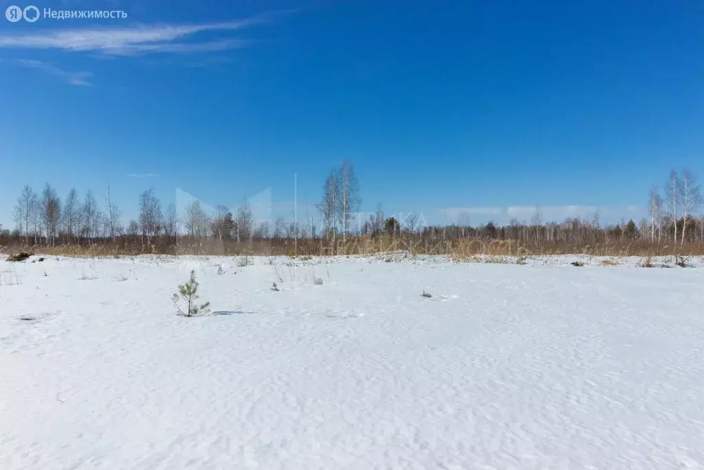 участок в тюмень, садовое товарищество липовый остров, 11-я западная . - Фото 0