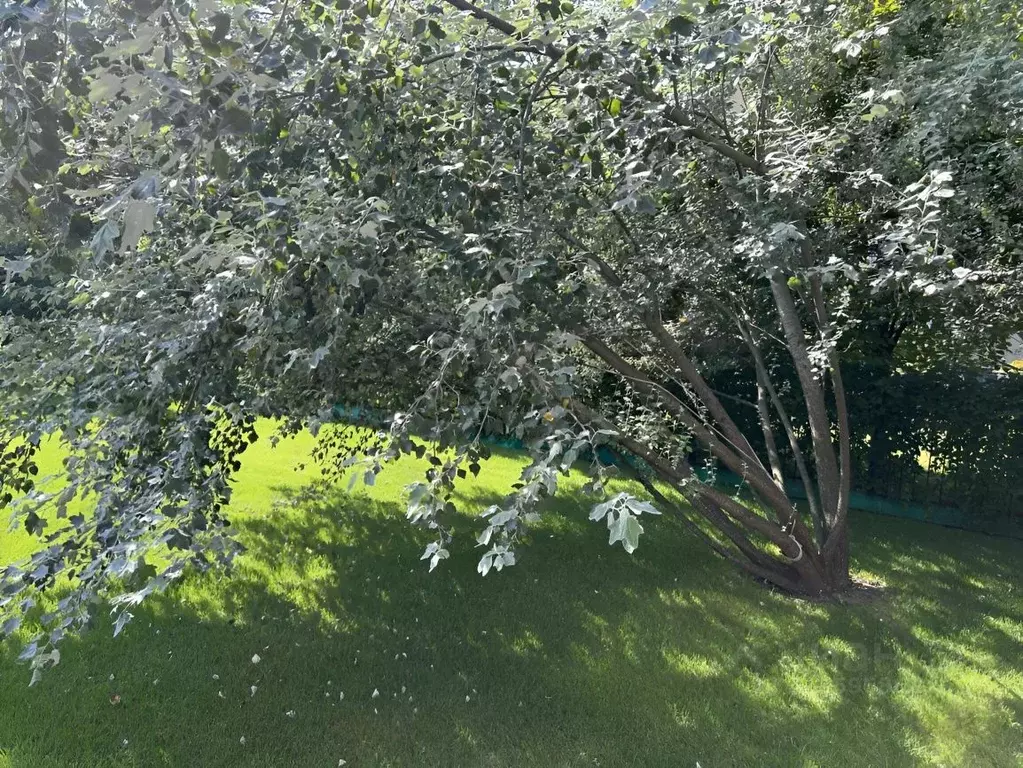 Коттедж в Московская область, Мытищи городской округ, пос. Вешки бул. ... - Фото 2