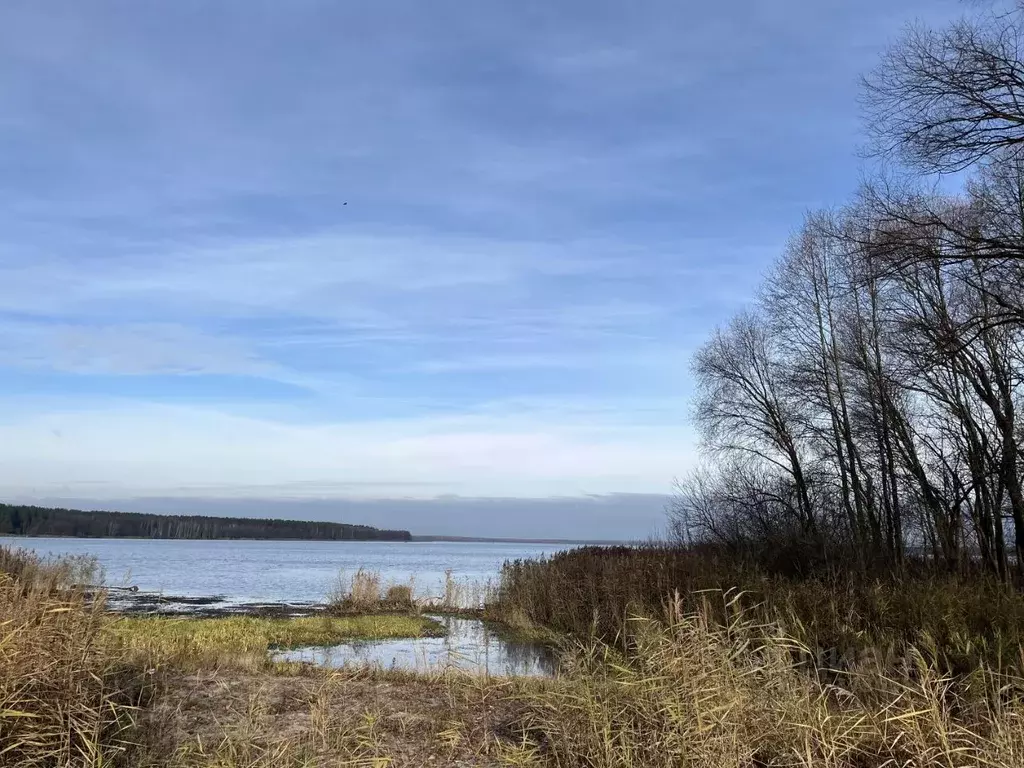 Участок в Московская область, Шатура  (15.0 сот.) - Фото 1