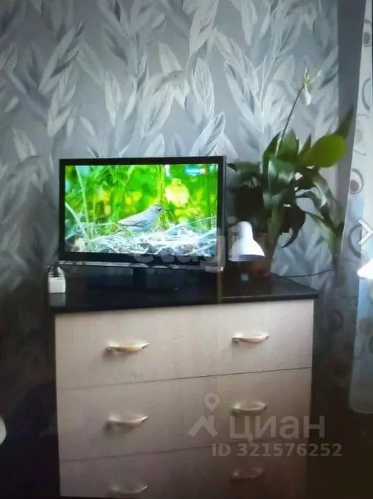 1-к кв. Пермский край, Добрянка ул. Герцена, 40А (23.2 м) - Фото 1