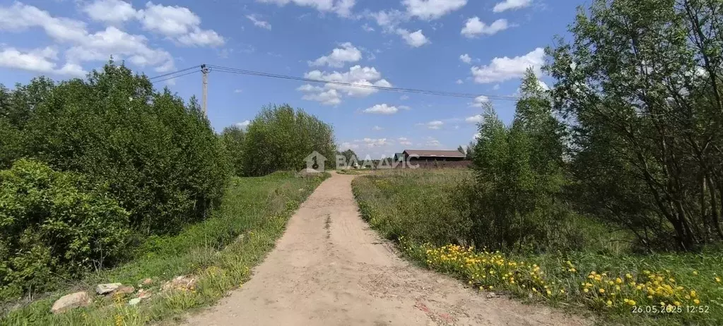 Участок в Ярославская область, Рыбинский муниципальный округ, ... - Фото 1