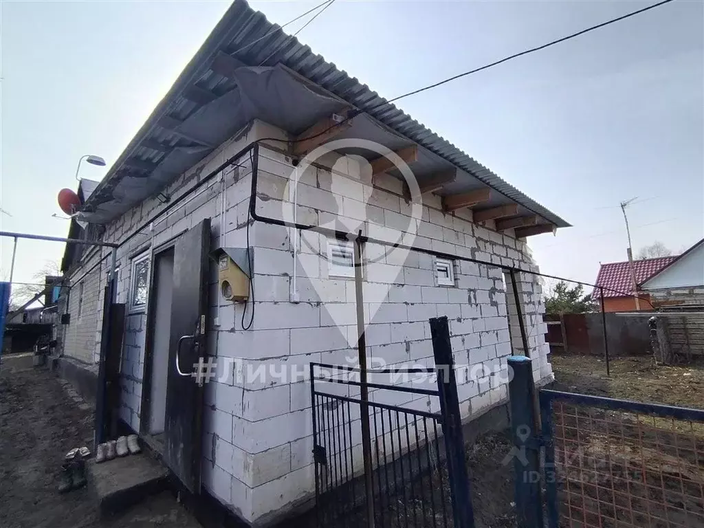 Дом в Рязанская область, Скопинский муниципальный округ, с. Пупки ул. ... - Фото 1