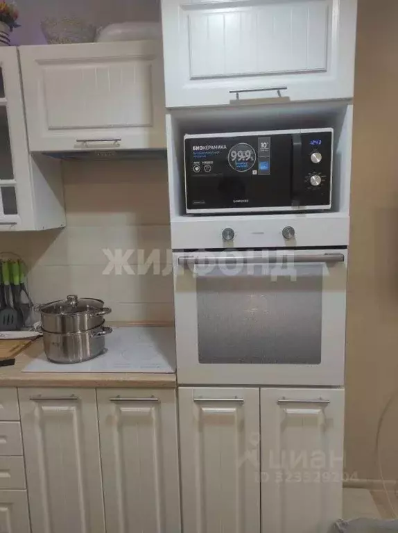 Студия Новосибирская область, Новосибирский район, Каменский ... - Фото 2