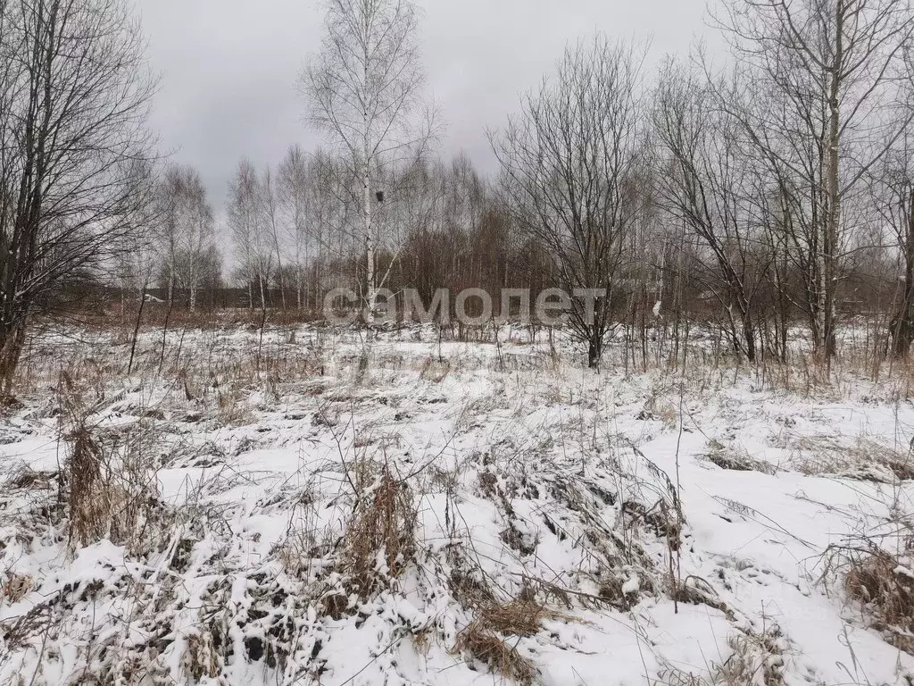 Участок в Нижегородская область, Нижний Новгород д. Новая,  (8.0 сот.) - Фото 0