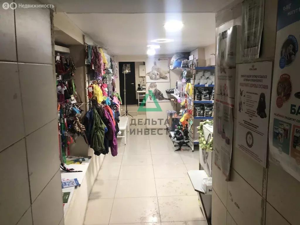 Офис (60.3 м) - Фото 2